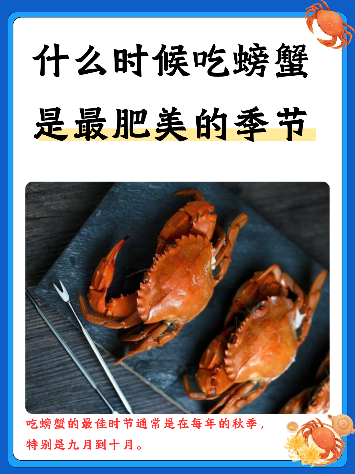 什么是鲜美