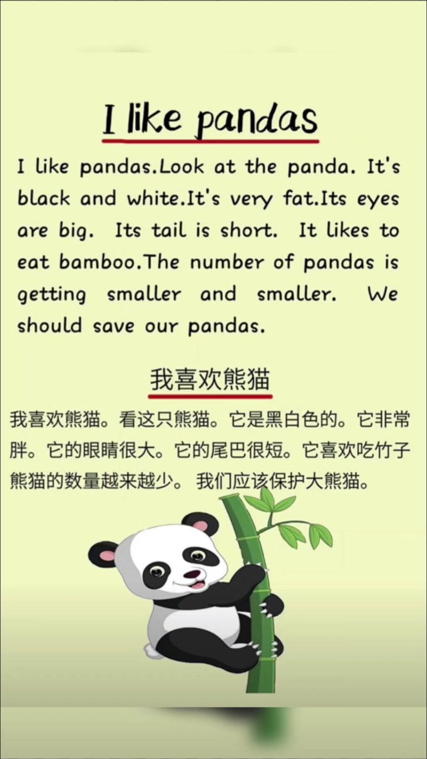 英语熊猫怎么读